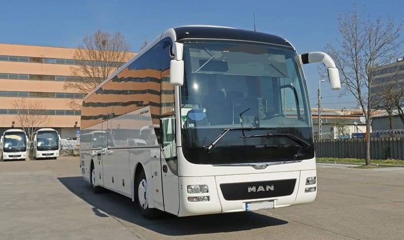 Apulia: Buses operator in Bitonto in Bitonto and Italy